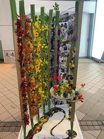 �u���O�摜