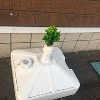 �u���O�摜