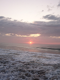 �u���O�摜