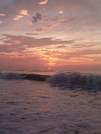 �u���O�摜