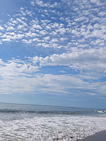 �u���O�摜