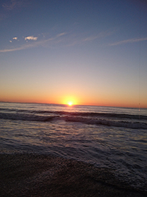 �u���O�摜