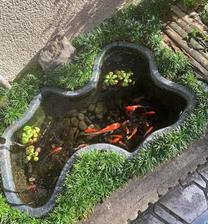 �u���O�摜