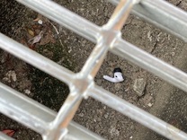 �u���O�摜