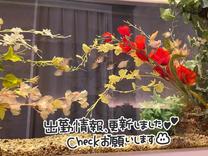 ?�͂��߂�...