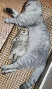 2/13�̂����