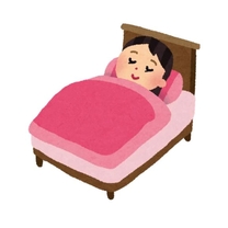 �u���O�摜