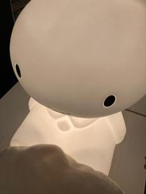 �u���O�摜