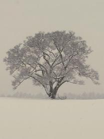 ���ε����β���