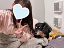 ���ε����β���