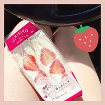 �u���O�摜