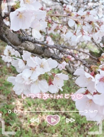 �u���O�摜