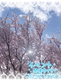 �u���O�摜