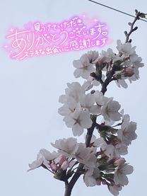 �u���O�摜
