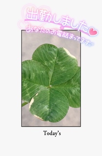 �u���O�摜