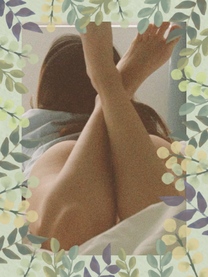 �u���O�摜