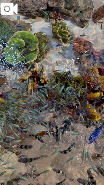 ���ε����β���